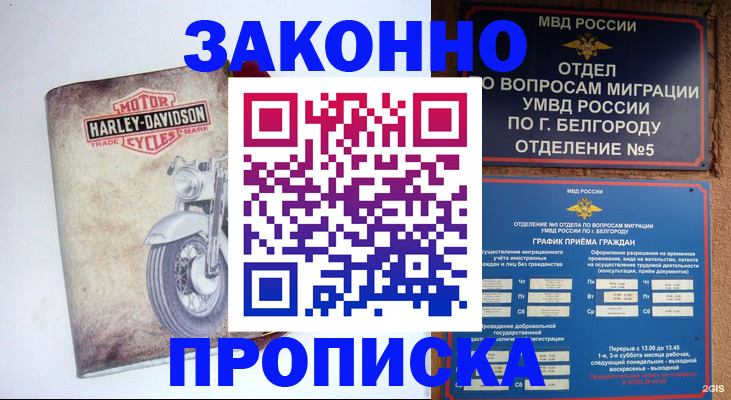 прописка для школы в Купино